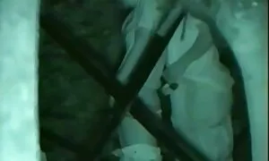 Малък баба и дядо правят секс Възрастен