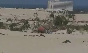 Капка много порно с баби добре с голям задник кучка